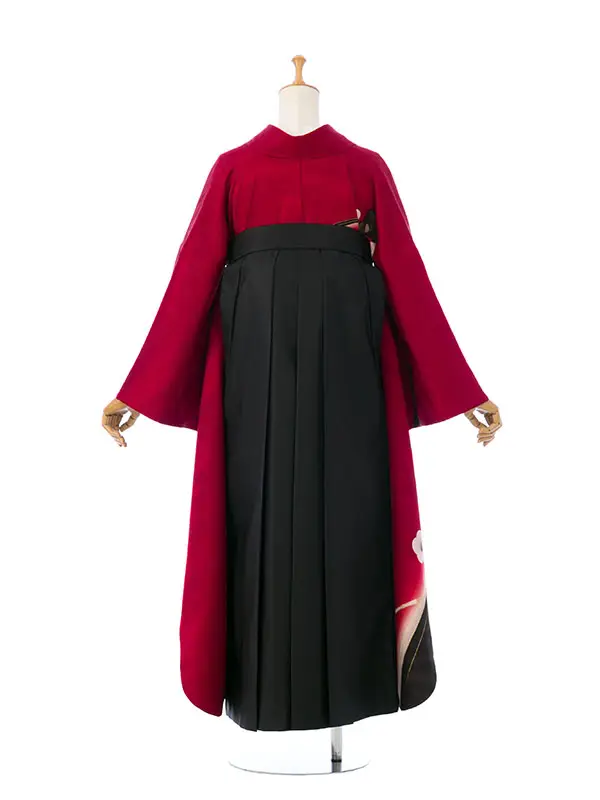 振袖袴 4S684 HDL4684 えんじ赤ﾗﾒ織 椿|黒99cm