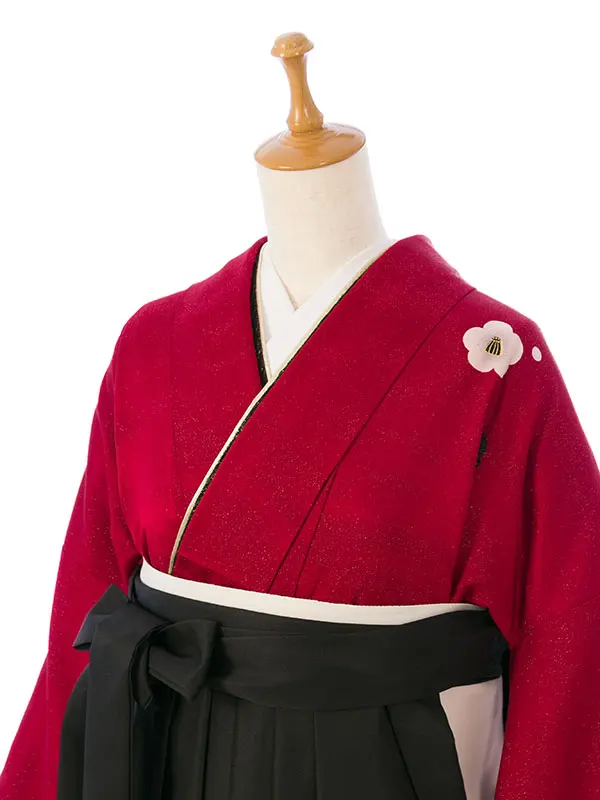 振袖袴 4S684 HDL4684 えんじ赤ﾗﾒ織 椿|黒99cm