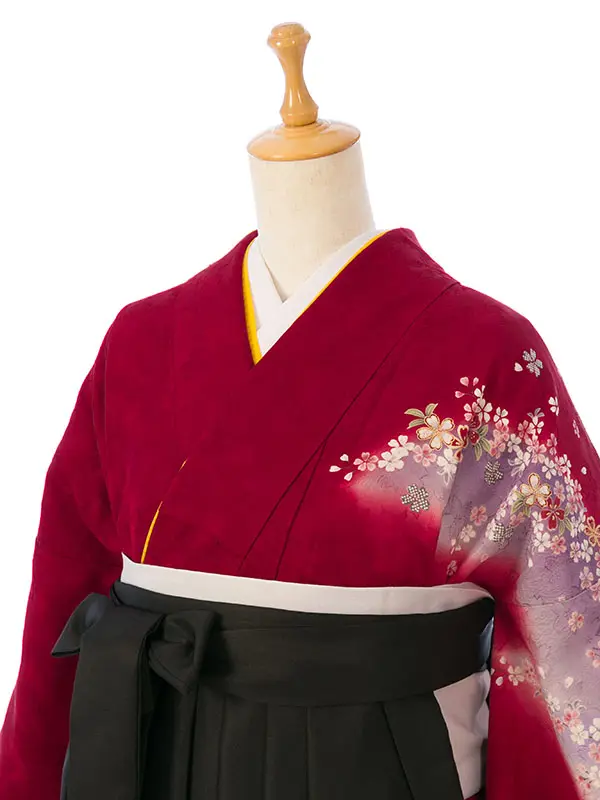 振袖袴 4S882 HDL4882 赤 桜地紋|黒99