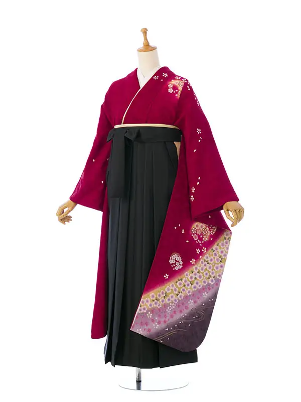 振袖袴 4S883 HDL4883 ｴﾝｼﾞ 桜地紋 |黒99cm