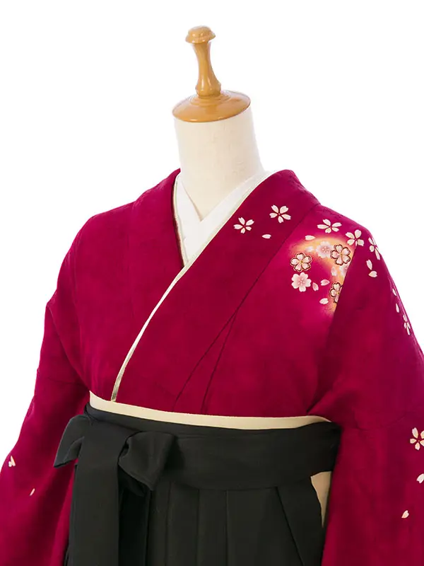 振袖袴 4S883 HDL4883 ｴﾝｼﾞ 桜地紋 |黒99cm