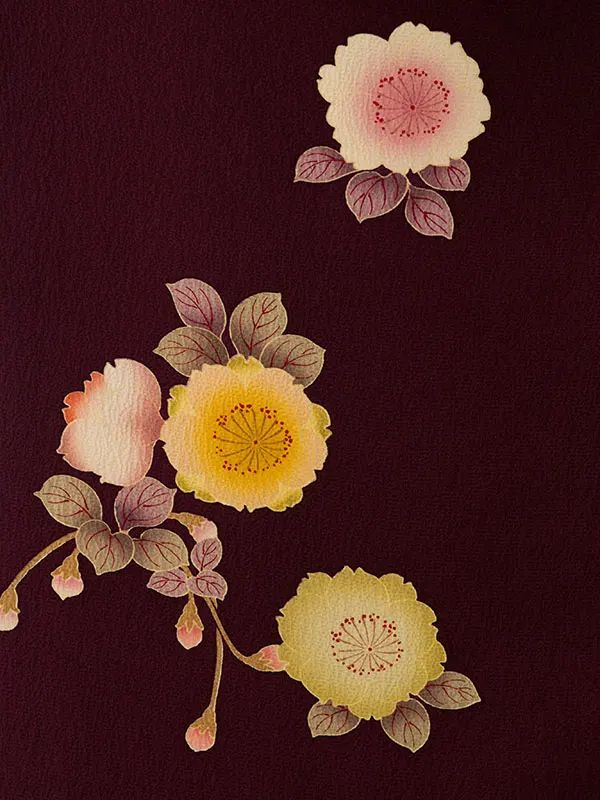 振袖袴 4S903 HDL4903 紫地 桜文様|ﾍﾞｰｼﾞｭ95