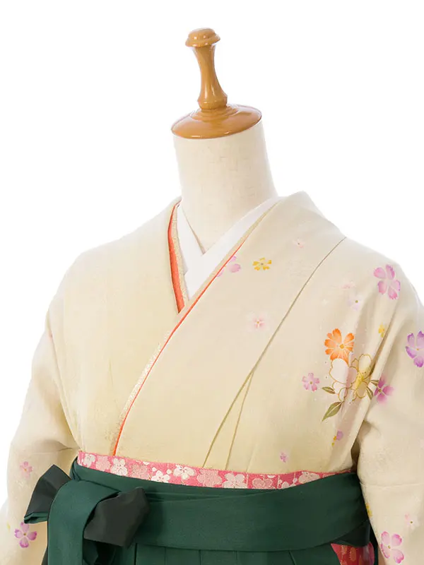 振袖袴 5S174 HDL5174 薄黄色 花にﾘﾎﾞﾝ|ｸﾞﾘｰﾝ桜95