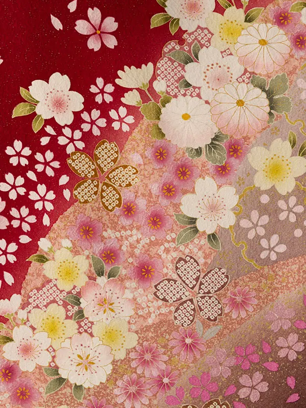 振袖袴 5S264 HDL5264 赤地 ﾗﾒ 桜|ｱｲﾎﾞﾘｰ99
