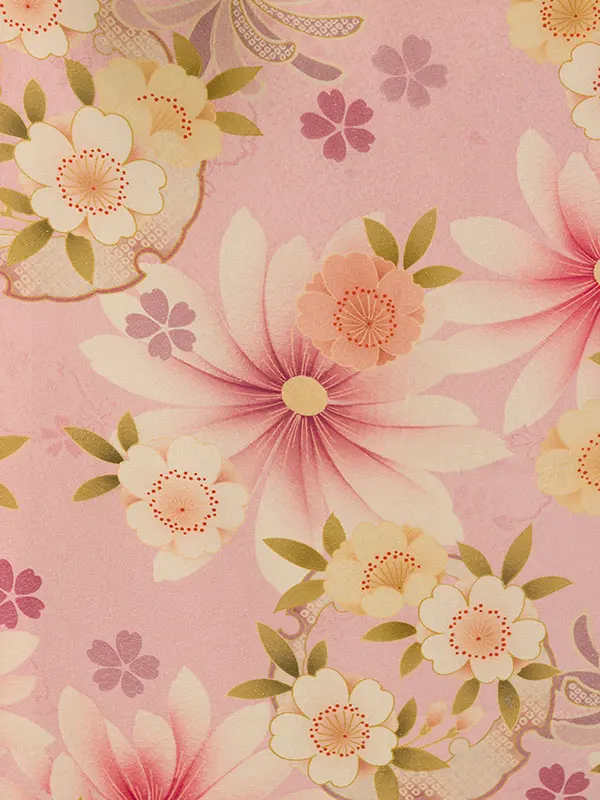 振袖袴 5S290 HDL5290 ﾋﾟﾝｸ 雪輪 菊|ｱｲﾎﾞﾘｰ91