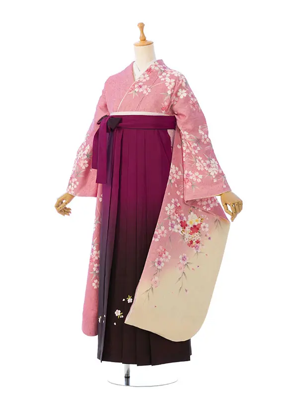 振袖袴 5S373 H058-26-4 ﾋﾟﾝｸ 裾ｸﾘｰﾑ 桜花籠|ﾜｲﾝ99