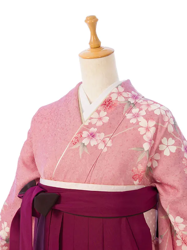 振袖袴 5S373 H058-26-4 ﾋﾟﾝｸ 裾ｸﾘｰﾑ 桜花籠|ﾜｲﾝ99