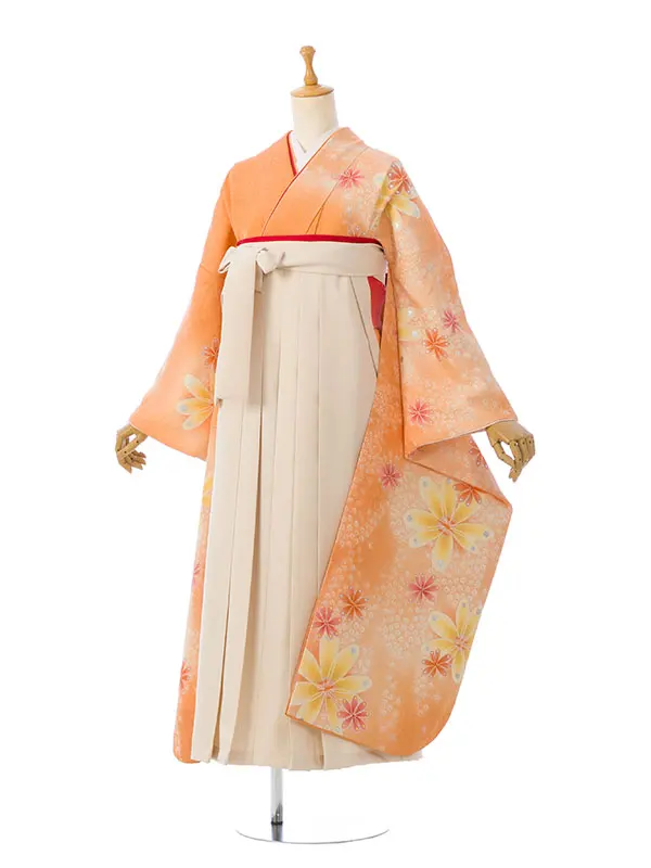 振袖袴 5S421 HDL5421 ｵﾚﾝｼﾞ地 ｱﾚﾝｼﾞ花|ｱｲﾎﾞﾘｰ99