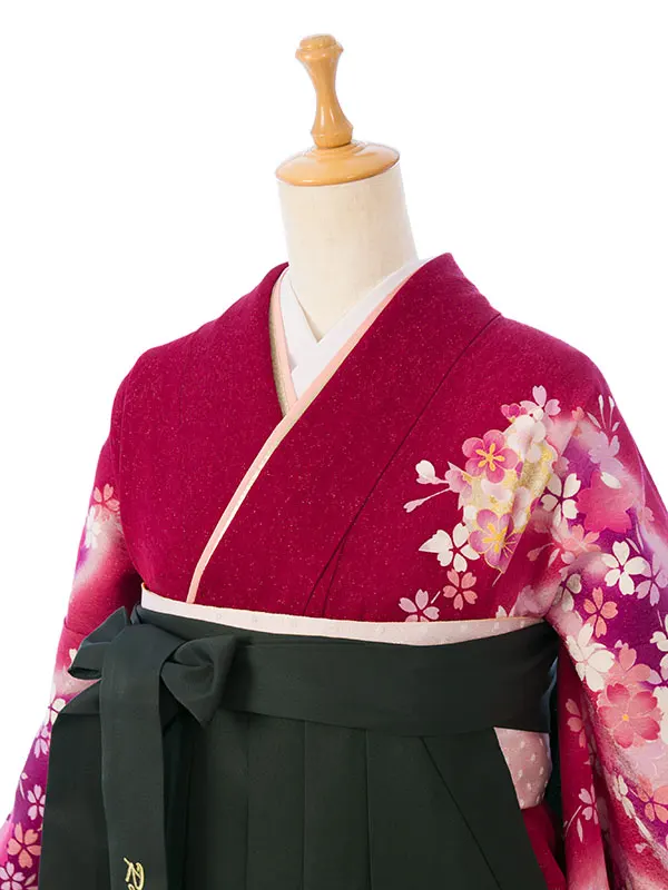 振袖袴 6S316 H009-250 赤地ﾗﾒ織 熨斗に雪輪|緑 桜刺繍95
