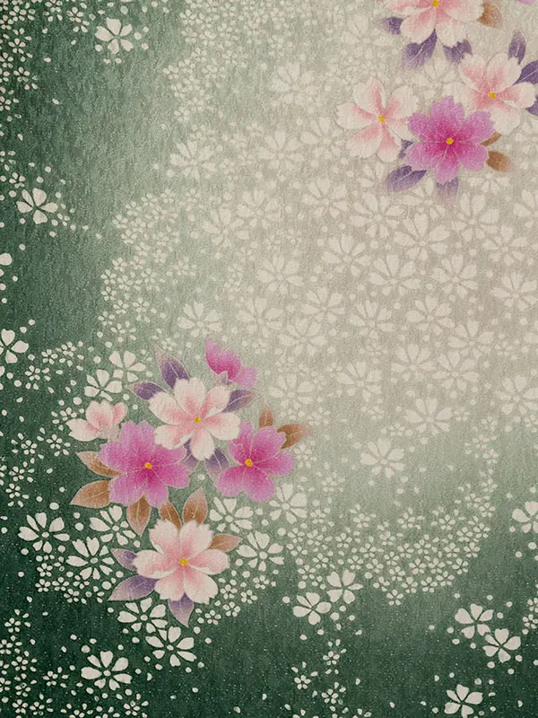 振袖袴 5S114 HDLY009 ｸﾞﾘ-ﾝﾗﾒ 桜|ｱｲﾎﾞﾘｰ95