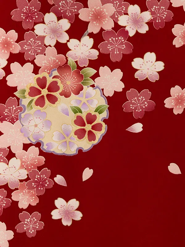振袖袴 5S271 H057-26-3 赤地 雪輪に桜菊|ｸﾞﾚｰぼかし99