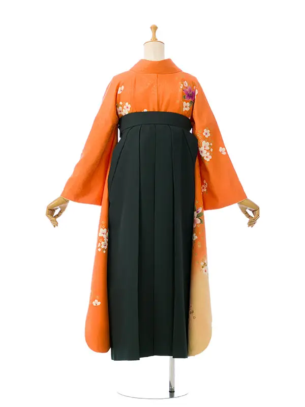 振袖袴 5S658 H209-24-10 ｵﾚﾝｼﾞ地 桜菊|緑袴 椿 91