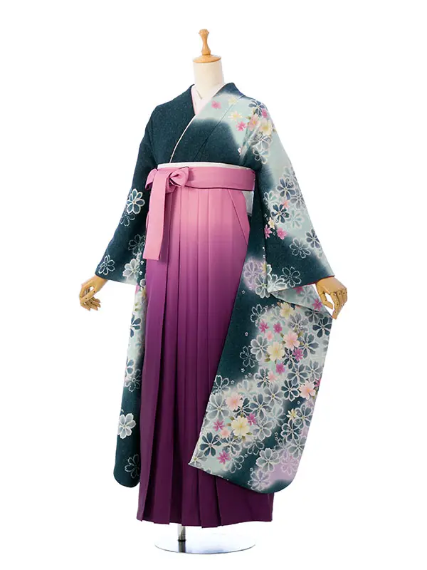 振袖袴 5S851 HDLY177 深緑ぼかしﾗﾒ織 桜|紫/ﾋﾟﾝｸぼかし99