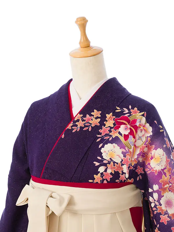 振袖袴 6S260 HDLY247 紫ﾗﾒ織/花薬玉|ｱｲﾎﾞﾘｰ99