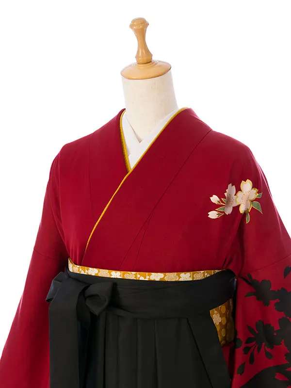 振袖袴 8S151 HDLY540 赤地 影絵 几帳|黒95cm