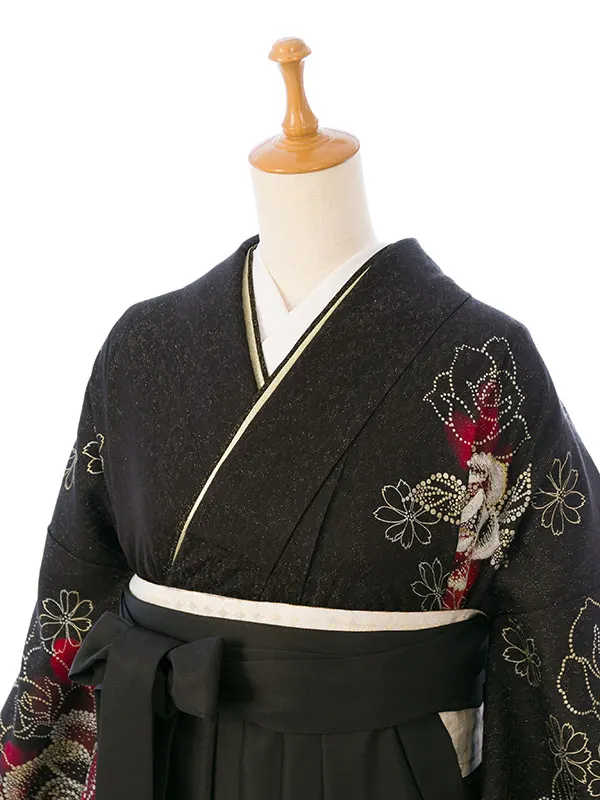 振袖袴 8S225 HDLY594 黒ﾗﾒ織 赤薔薇 |黒95cm