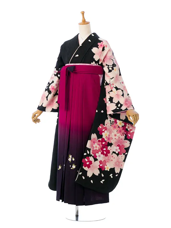 振袖袴 5S666 H012-25-12 黒地紋/桜尽くし|赤紫ぼかし 桜 95