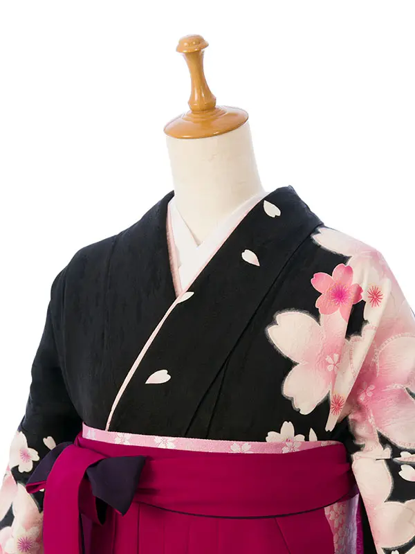 振袖袴 5S666 H012-25-12 黒地紋/桜尽くし|赤紫ぼかし 桜 95