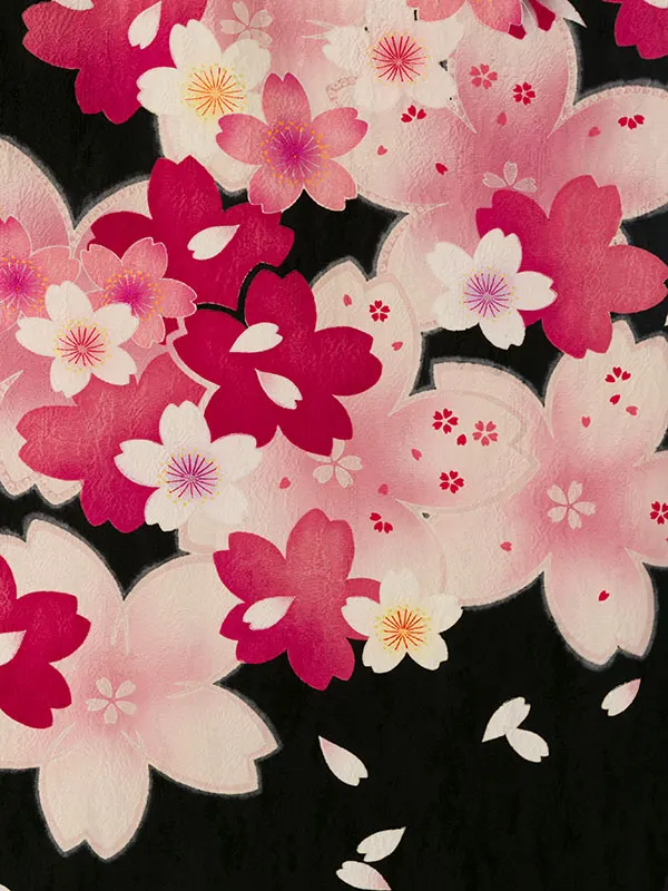 振袖袴 5S666 H012-25-12 黒地紋/桜尽くし|赤紫ぼかし 桜 95