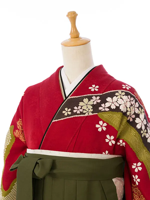 振袖袴 6S749 H135-25-7 赤地 熨斗に桜 絞り柄