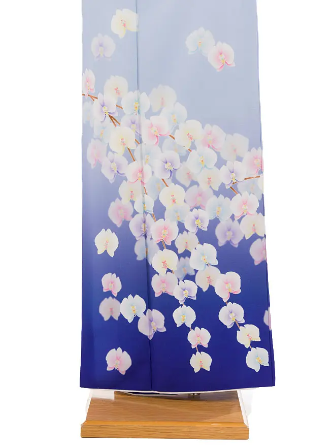 訪問着花わらべ青胡蝶蘭 6483
