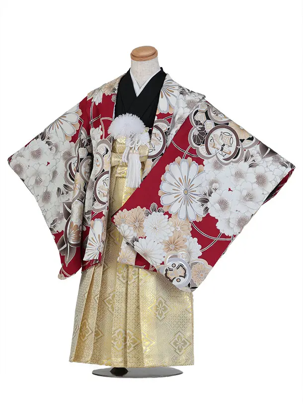 七五三（5歳男児袴）B215/赤色×金袴 大輪の菊