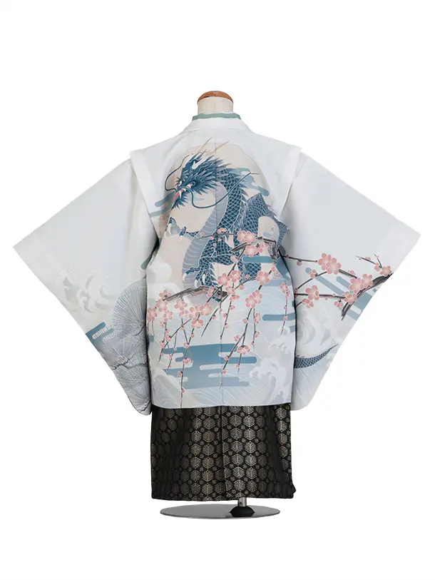 七五三（5歳男児袴）B218/ホワイト×黒袴 青い龍 梅の花
