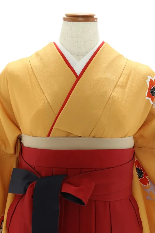 女性袴572/からし色桜ｼﾙｴｯﾄ