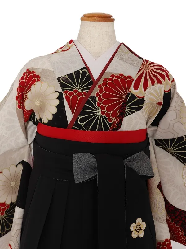 女子袴1131/JAPANSTYLE ﾍﾞｰｼﾞｭ　梅丸紋