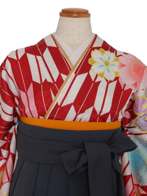 女子袴1134/赤白矢絣に桜柄