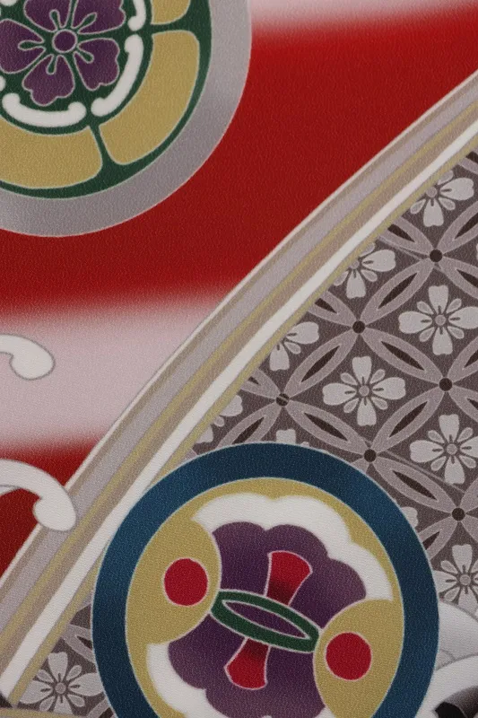 七五三(5歳男児)282/赤ぼかし鷹龍No.2