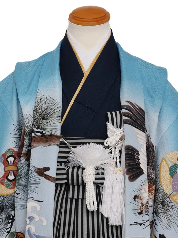 七五三(5歳男児)328/水色虎鷹松