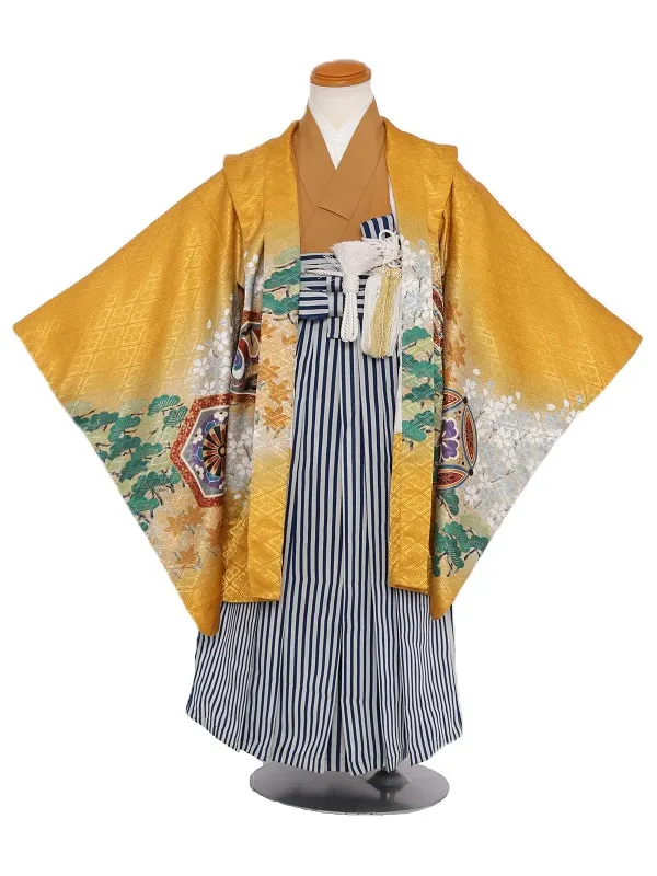 七五三(5歳男児)329/からし色鷹