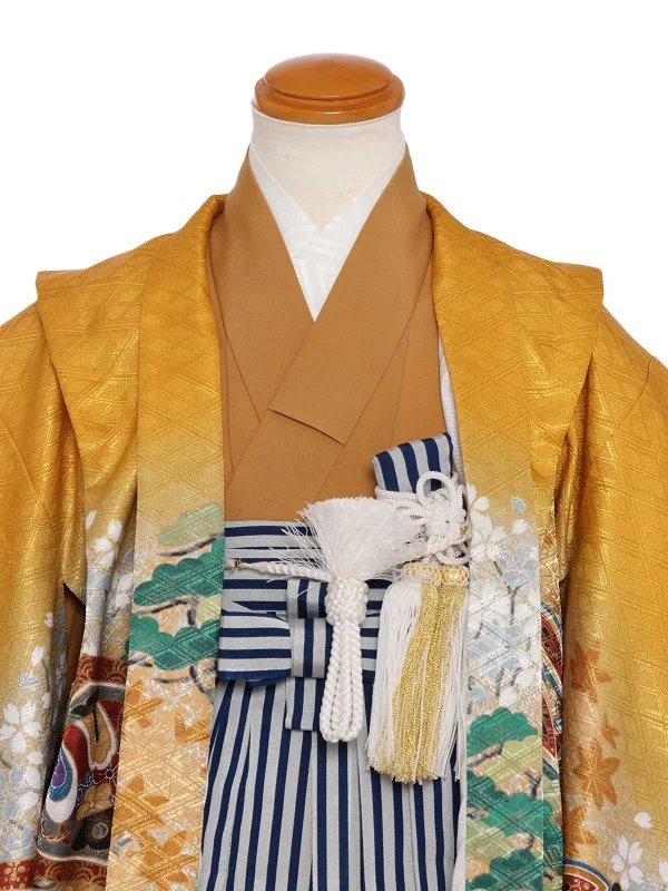 七五三(5歳男児)329/からし色鷹