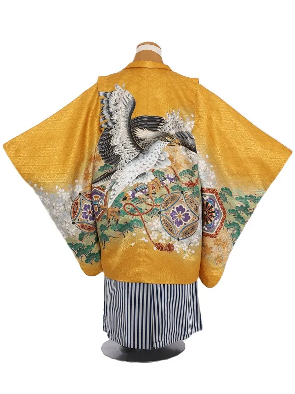 七五三(5歳男児)329/からし色鷹