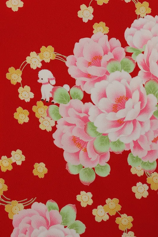 七五三(7歳女児)470/赤地桜牡丹犬