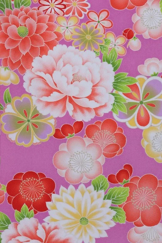 七五三(7歳女児)487/うす紫牡丹八重菊