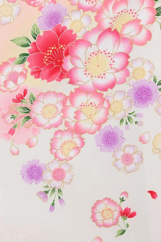 七五三(5歳女児)506/白裾赤八重桜