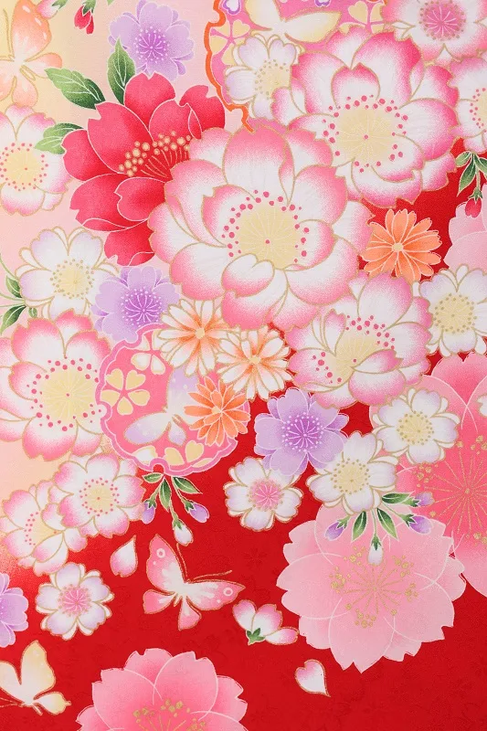 七五三(5歳女児)506/白裾赤八重桜