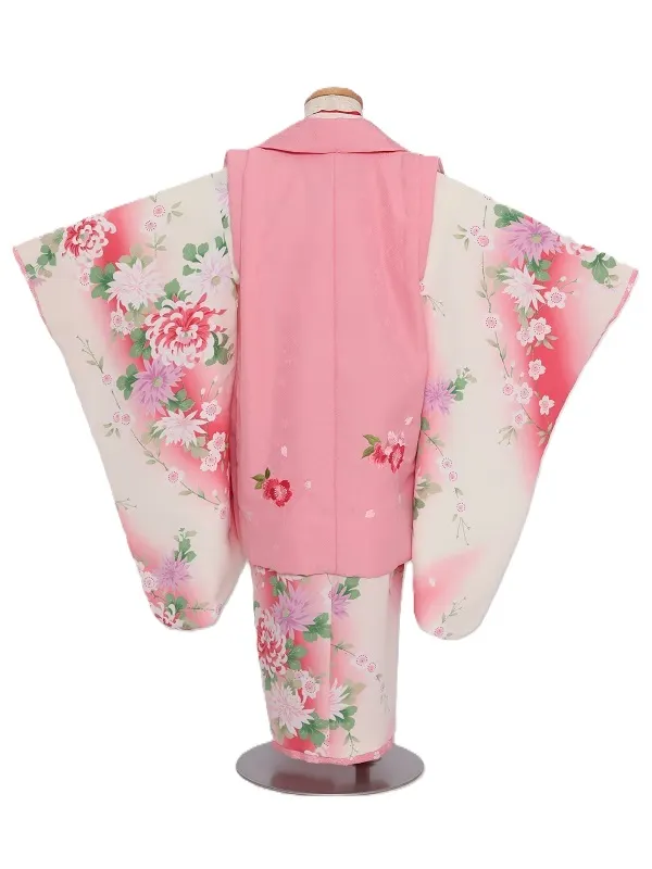 七五三(3歳女児)520/白地ﾋﾟﾝｸぼかし菊