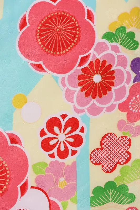 七五三(3歳女児)531/水色 矢絣 梅 松