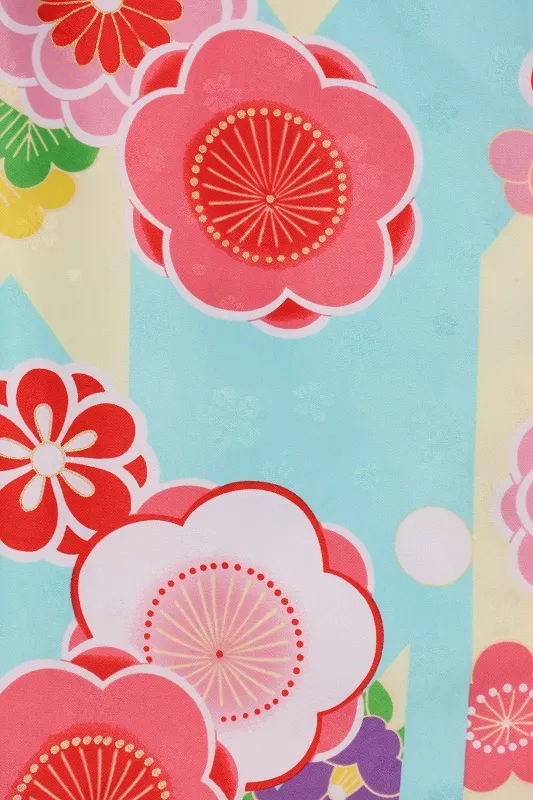 七五三(3歳女児)531/水色 矢絣 梅 松