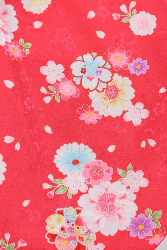七五三(3歳女児)565/ﾛｰｽﾞﾋﾟﾝｸ八重桜と菊