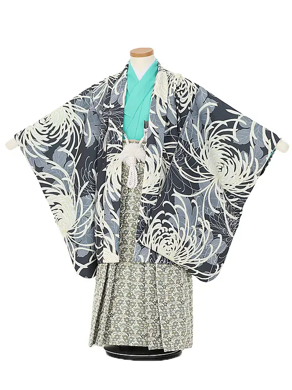 かんたん753レンタル B601祝菊×ベージュグリーン柄