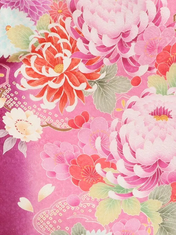 卒業式袴ﾚﾝﾀﾙ 2003 ピンク紫縦ぼかし祝菊×花刺繍ﾛｰｽﾞぼかし