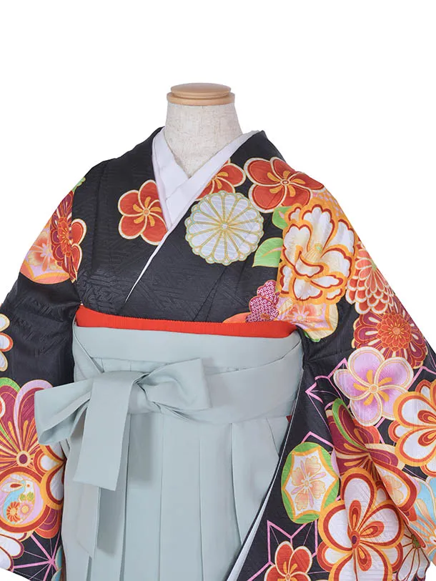 卒業袴 ﾚﾝﾀル0331雅黒の華