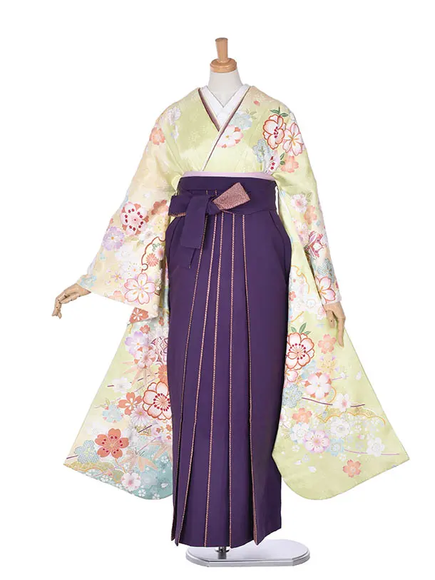 卒業式振袖袴レンタルC253アップルグリーン桜紫袴