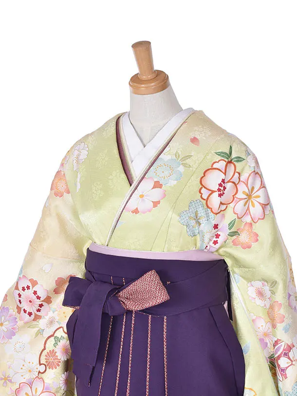 卒業式振袖袴レンタルC253アップルグリーン桜紫袴