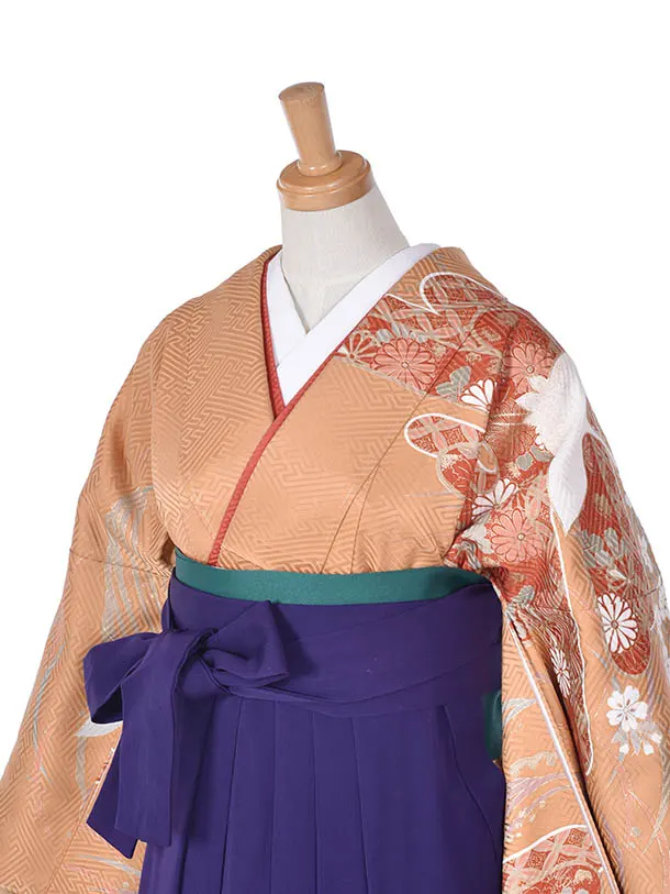 卒業式振袖袴レンタルC431古典紫袴